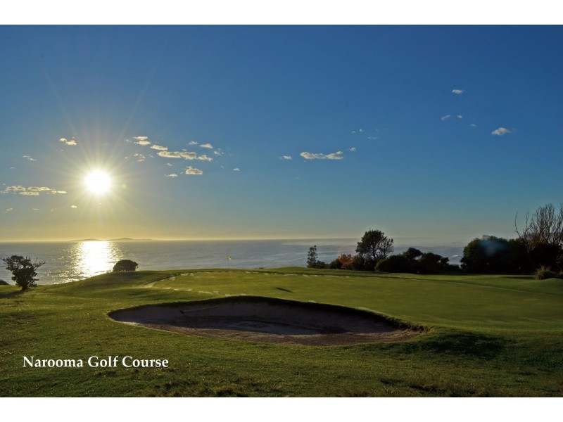 “Driftwood” Lot 64 Flying Fox Road, Narooma NSW 2546