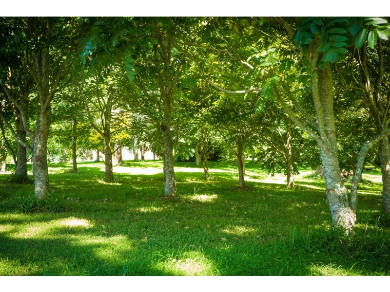 “Widgett Hill” 147 Widgett Road, Bodalla NSW 2545