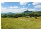 “Rossfield” 1391 Allyn River Road, East Gresford NSW 2311