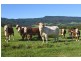 “Windham Hill” 543 Jamberoo Road, Jamberoo NSW 2533