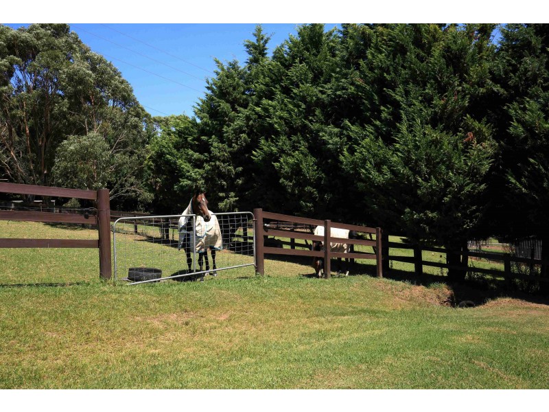 “Windham Hill” 543 Jamberoo Road, Jamberoo NSW 2533