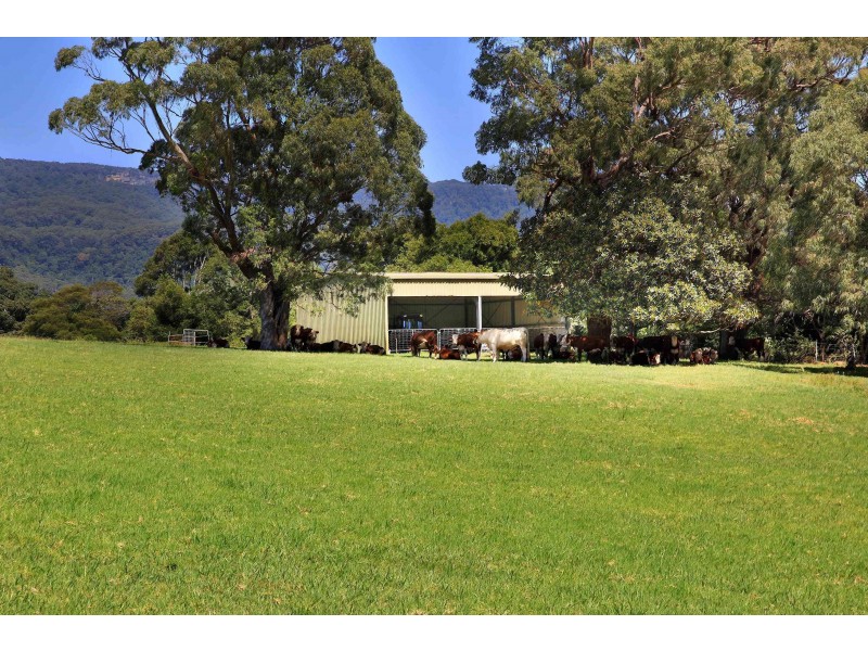 “Windham Hill” 543 Jamberoo Road, Jamberoo NSW 2533