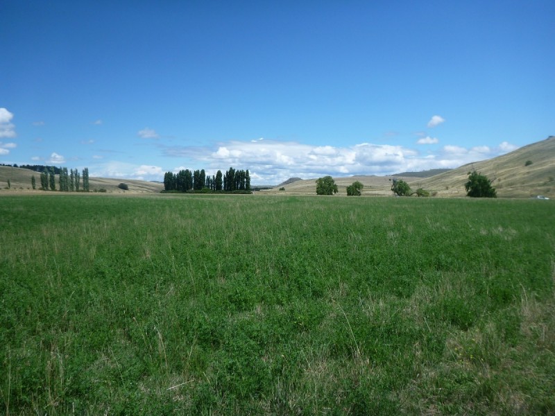 Sherwood 2220 The Snowy River Way, Nimmitabel NSW 2631