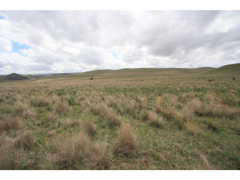 Sherwood 2220 The Snowy River Way, Nimmitabel NSW 2631