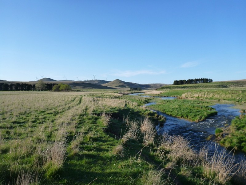 Sherwood 2220 The Snowy River Way, Nimmitabel NSW 2631