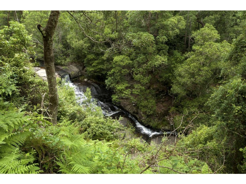 “Gully Falls House” 253 Wangat Trig Road, Dungog NSW 2420