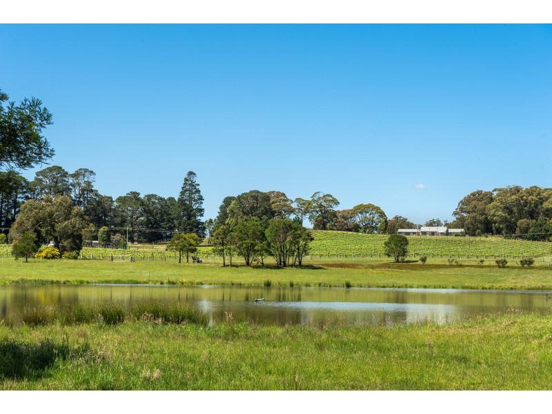 “Banjo’s Run” 212 Sallys Corner Road, Exeter NSW 2579