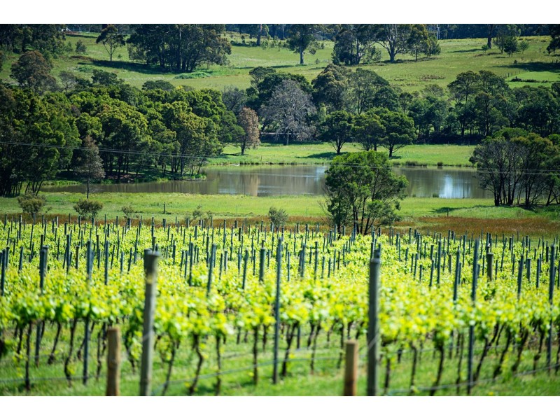 “Banjo’s Run” 212 Sallys Corner Road, Exeter NSW 2579