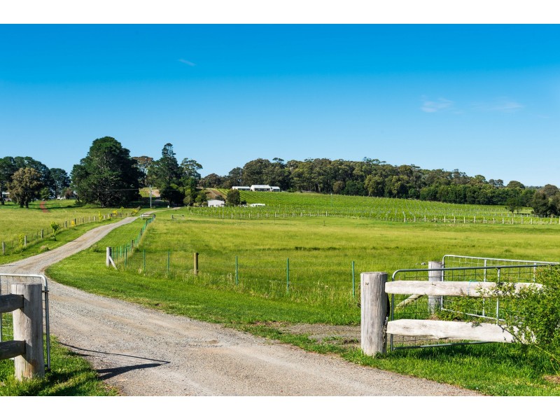 “Banjo’s Run” 212 Sallys Corner Road, Exeter NSW 2579