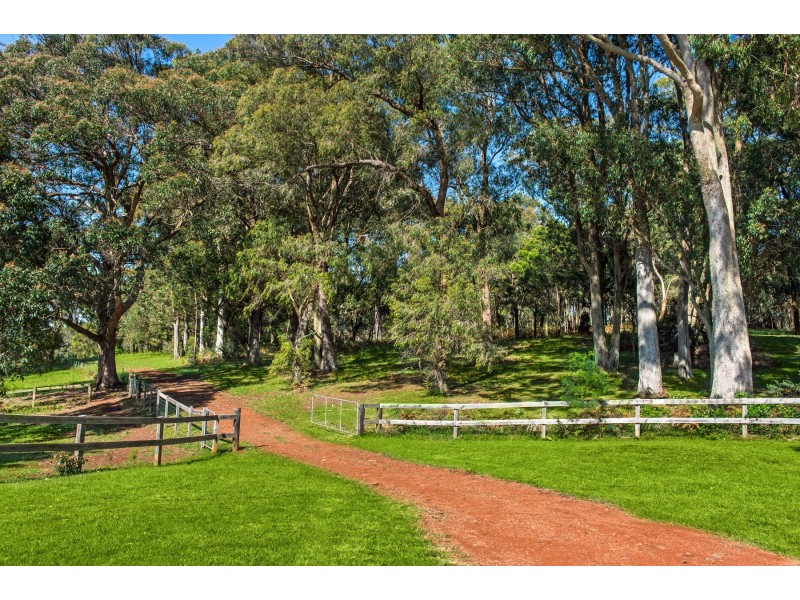 “Banjo’s Run” 212 Sallys Corner Road, Exeter NSW 2579