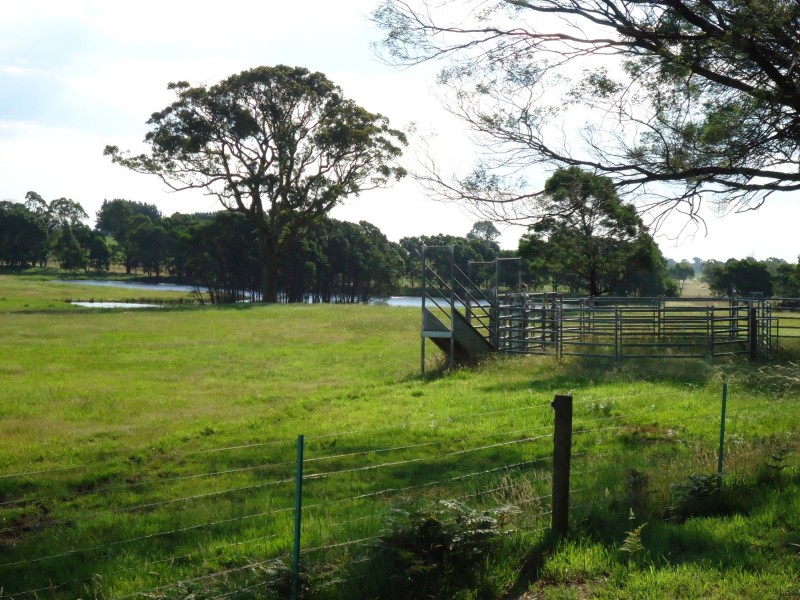 “Banjo’s Run” 212 Sallys Corner Road, Exeter NSW 2579