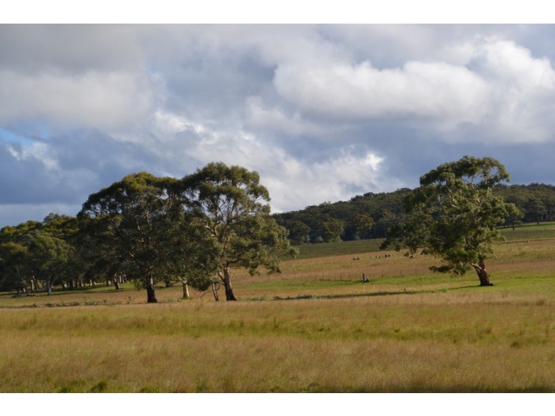 Cambrai – 250 Garbutts Road, Wingello NSW 2579