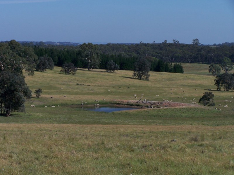 Cambrai – 250 Garbutts Road, Wingello NSW 2579