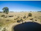 “Towri” 2826 Kingstown Road, Kingstown NSW 2358