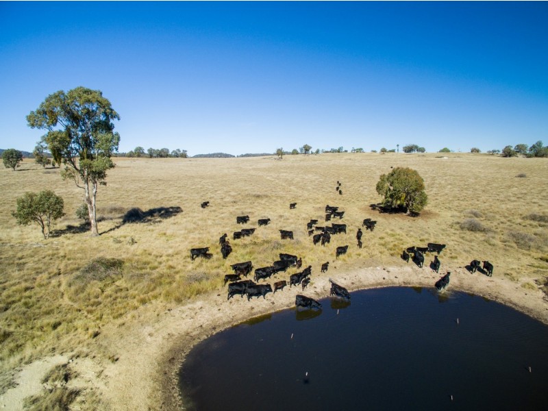 “Towri” 2826 Kingstown Road, Kingstown NSW 2358