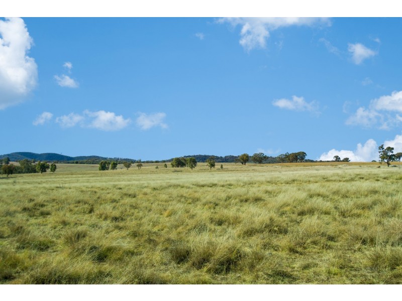 “Towri” 2826 Kingstown Road, Kingstown NSW 2358