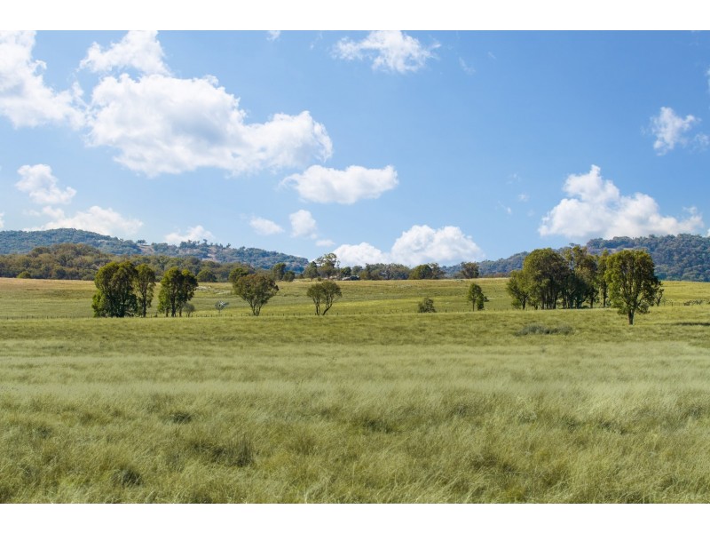 “Towri” 2826 Kingstown Road, Kingstown NSW 2358