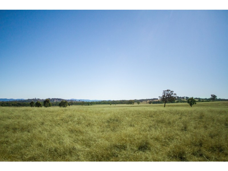 “Towri” 2826 Kingstown Road, Kingstown NSW 2358
