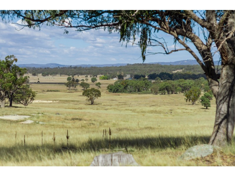 “Towri” 2826 Kingstown Road, Kingstown NSW 2358
