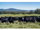 “Towri” 2826 Kingstown Road, Kingstown NSW 2358