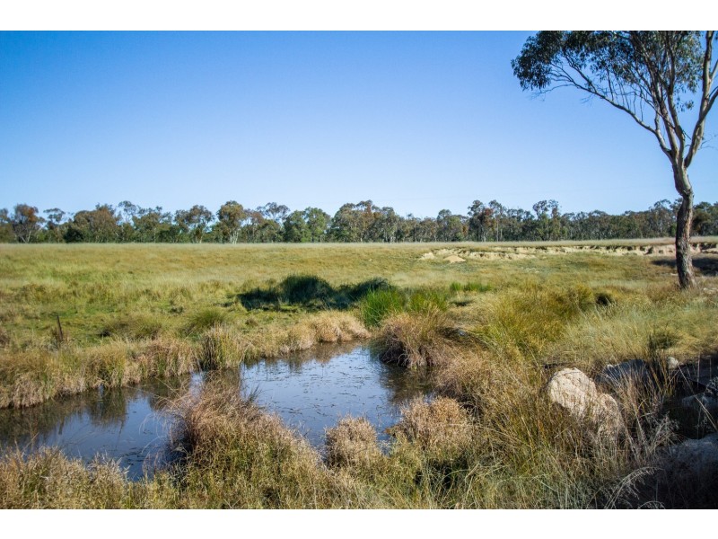 “Towri” 2826 Kingstown Road, Kingstown NSW 2358