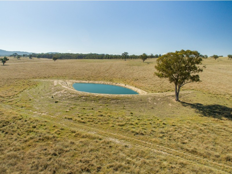 “Towri” 2826 Kingstown Road, Kingstown NSW 2358