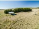 “Towri” 2826 Kingstown Road, Kingstown NSW 2358