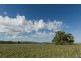 “Springview” 129 Loch Lomond Road, Gooloogong NSW 2805