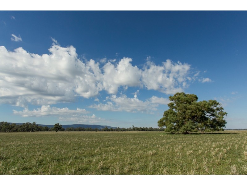“Springview” 129 Loch Lomond Road, Gooloogong NSW 2805