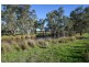 “Springview” 129 Loch Lomond Road, Gooloogong NSW 2805
