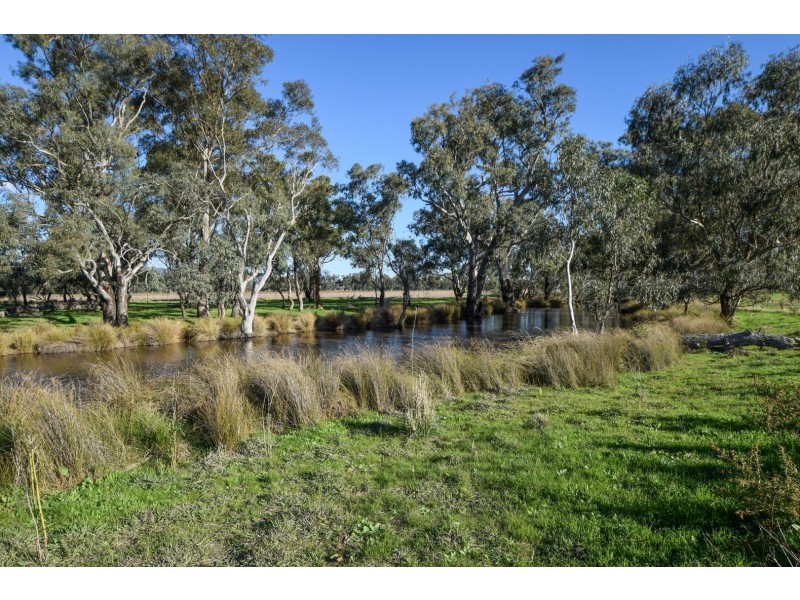 “Springview” 129 Loch Lomond Road, Gooloogong NSW 2805
