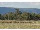 “Springview” 129 Loch Lomond Road, Gooloogong NSW 2805