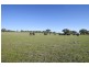 “Springview” 129 Loch Lomond Road, Gooloogong NSW 2805