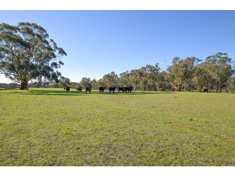 “Springview” 129 Loch Lomond Road, Gooloogong NSW 2805