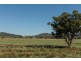 “Springview” 129 Loch Lomond Road, Gooloogong NSW 2805