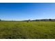 “Springview” 129 Loch Lomond Road, Gooloogong NSW 2805