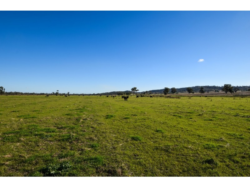 “Springview” 129 Loch Lomond Road, Gooloogong NSW 2805