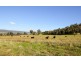 “Springview” 129 Loch Lomond Road, Gooloogong NSW 2805