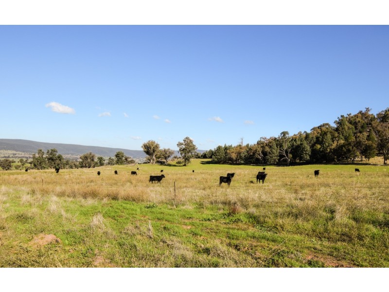 “Springview” 129 Loch Lomond Road, Gooloogong NSW 2805