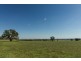 “Springview” 129 Loch Lomond Road, Gooloogong NSW 2805