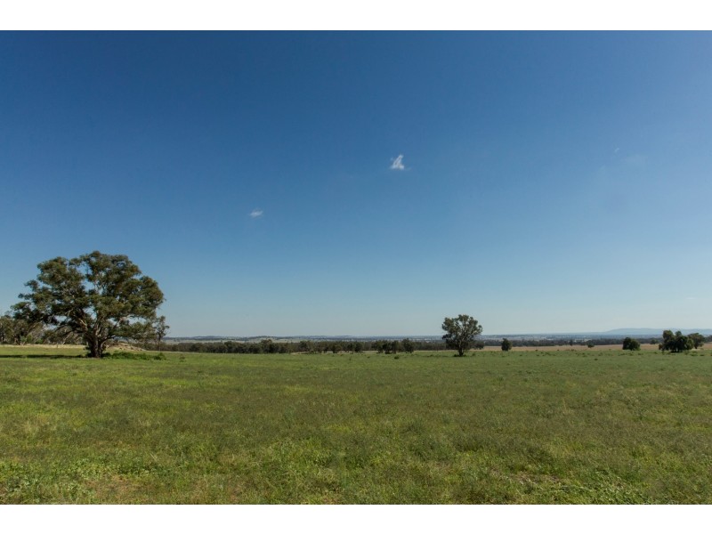 “Springview” 129 Loch Lomond Road, Gooloogong NSW 2805