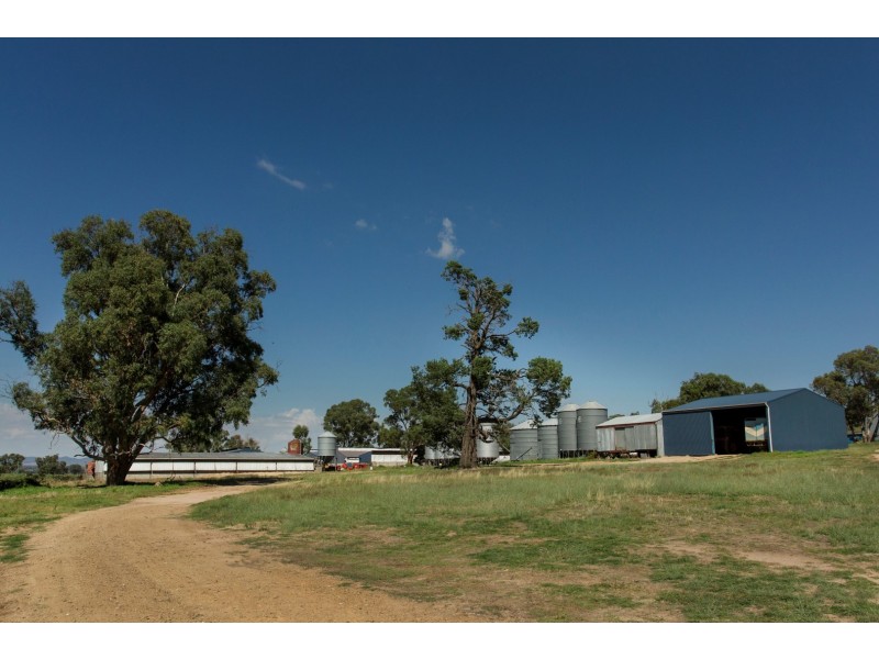 “Springview” 129 Loch Lomond Road, Gooloogong NSW 2805