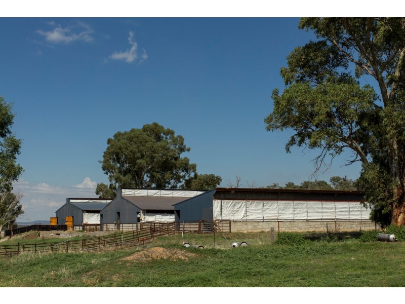 “Springview” 129 Loch Lomond Road, Gooloogong NSW 2805