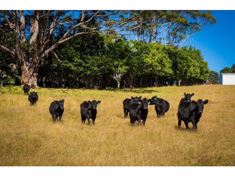 “Pretty View” 4072 Princes Highway, Coila NSW 2537
