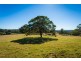“Pretty View” 4072 Princes Highway, Coila NSW 2537