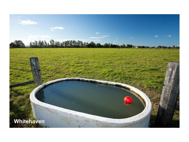 20 Surbiton Place, Mitchells Island NSW 2430