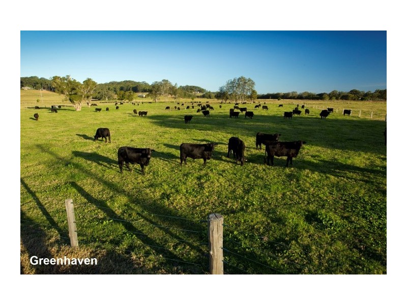 20 Surbiton Place, Mitchells Island NSW 2430