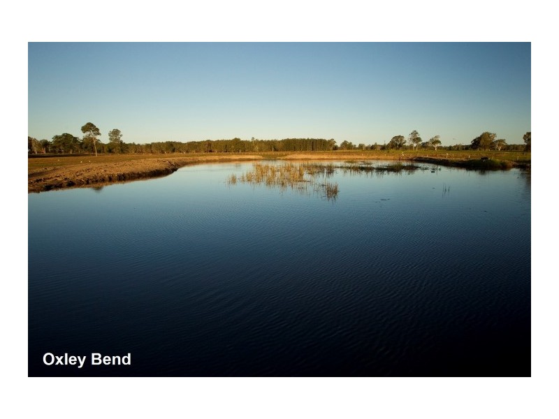 20 Surbiton Place, Mitchells Island NSW 2430