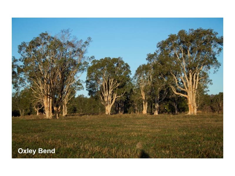 20 Surbiton Place, Mitchells Island NSW 2430