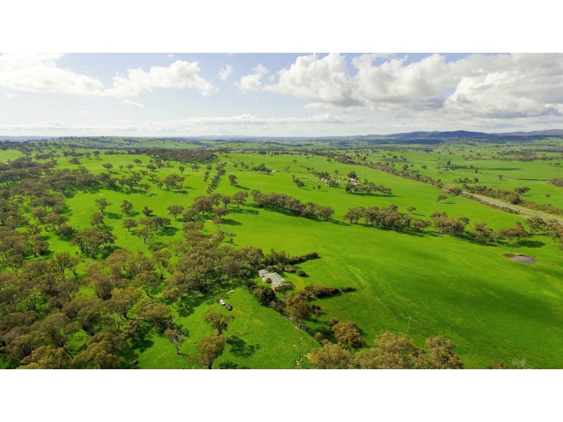 1609 Mitchell Highway, Orange NSW 2800